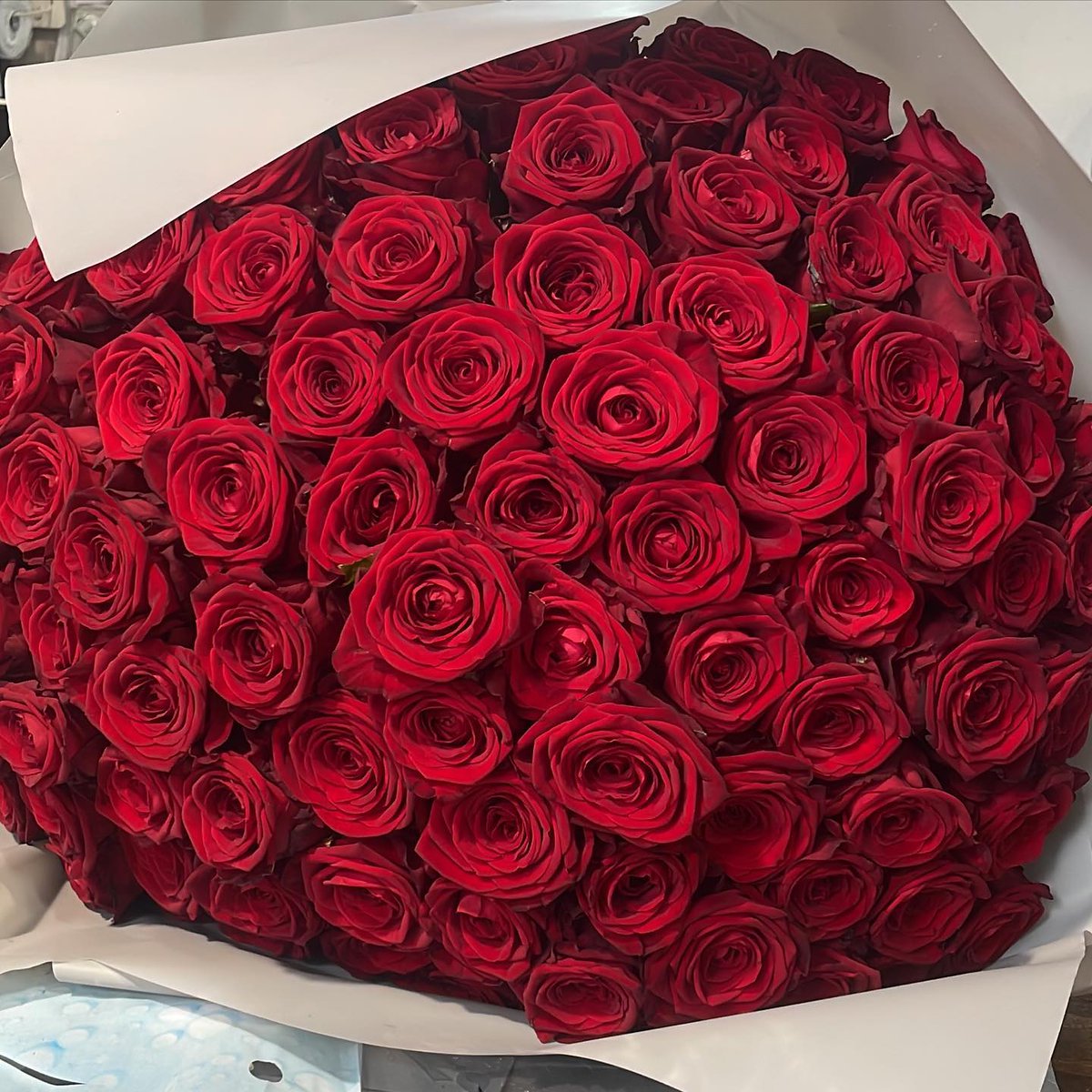 It must be love, love, love... 

Treat every day like it's Valentine's Day with a romantic bunch of roses from <a href="/DavidWflowers/">David Wayman Flowers</a>.

Shop online: bit.ly/3LDXdZh