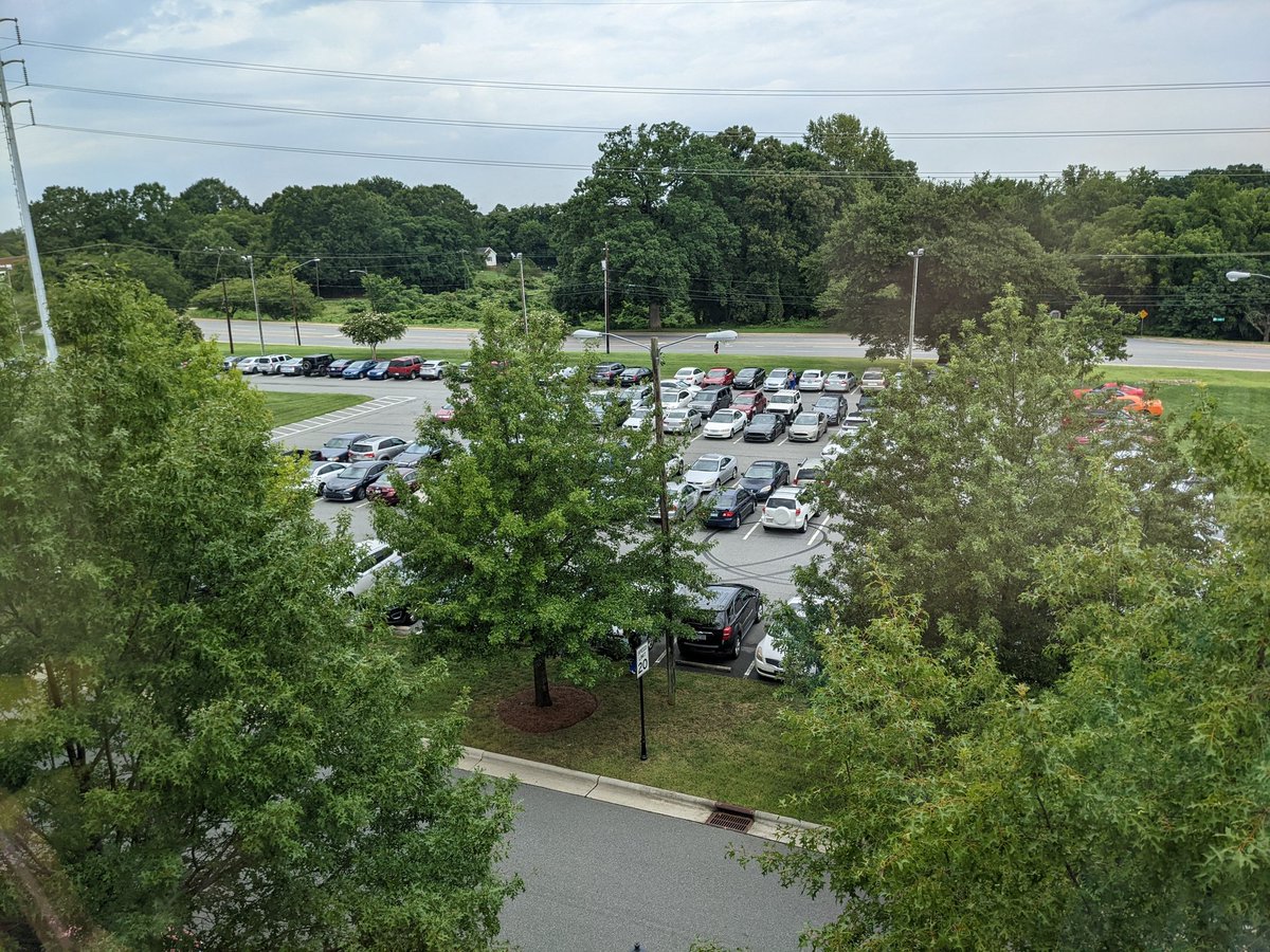 Kelli Antonides tweet media