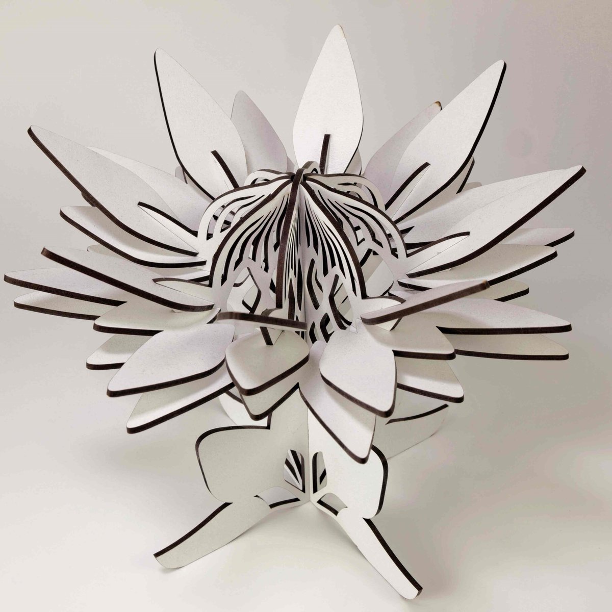 PurplePuppySt's tweet photo. Purple Puppy has a new home, After humble beginnings in Cape Town 10 years ago, we have relocated to Hermanus.
Greetings cards and Gifts available at the Book Cottage 8 High str Street in Hermanus.
#supportlocal #decor #gifts #lasercut https://t.co/CM8Ypl4aLL