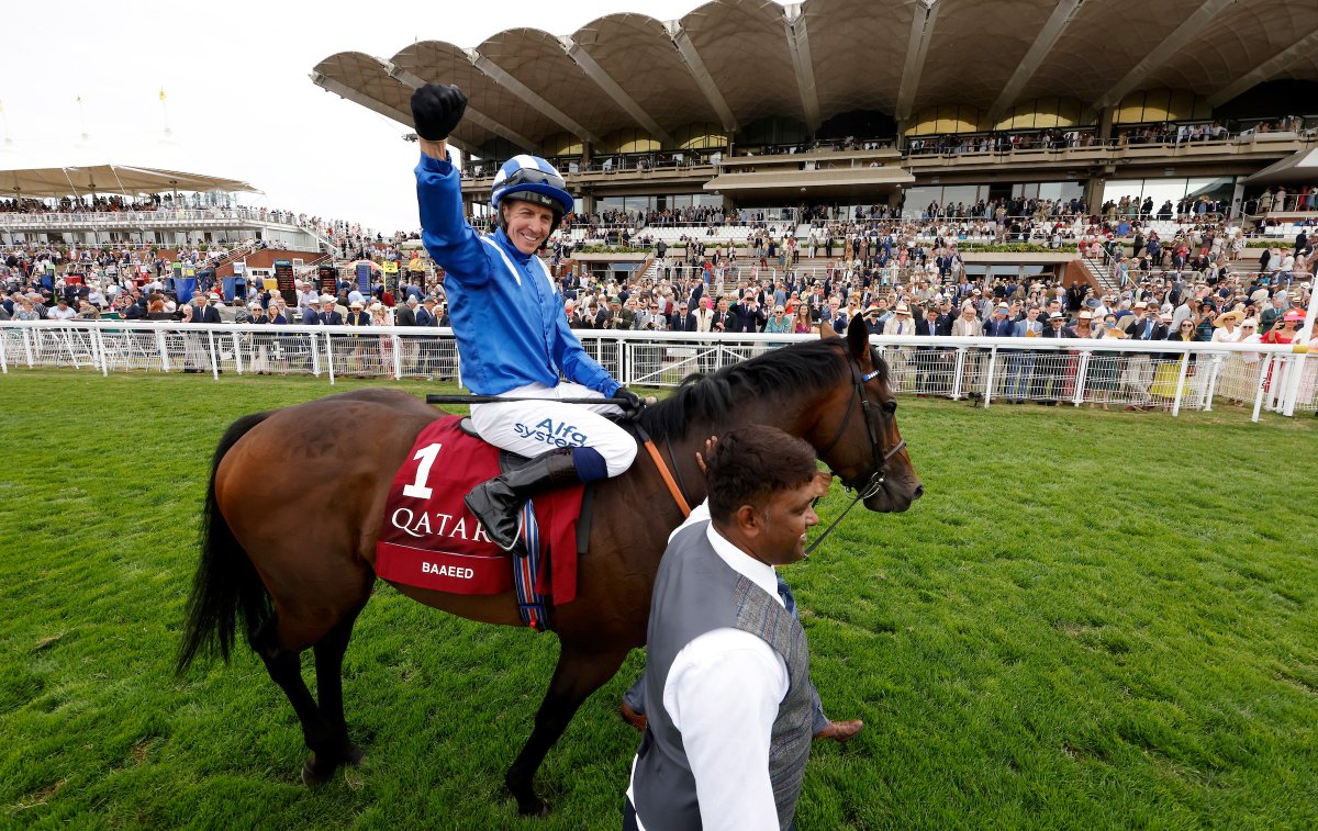 GBRacing's tweet photo. Hands up if you're excited to see this guy on Wednesday @yorkracecourse 🙌

Baaeed will face 6 rivals in the £1million Juddmonte International Stakes! https://t.co/9ppZ4IJahH