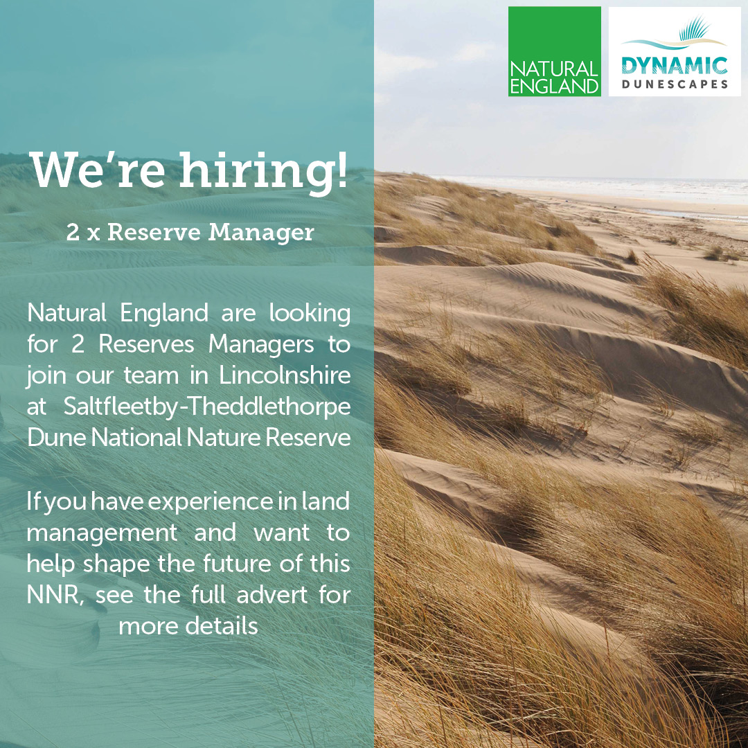 NEEastMidlands's tweet photo. We're recruiting at Saltfleetby-Theddlethorpe NNR on the beautiful Lincolnshire coast! Applications open here: https://t.co/roBc3lddbv
#ReserveManager #NNR #Lincolnshirecoast #Dynamicdunescapes #SandDunes #Jobs https://t.co/RcnWAyBMlt