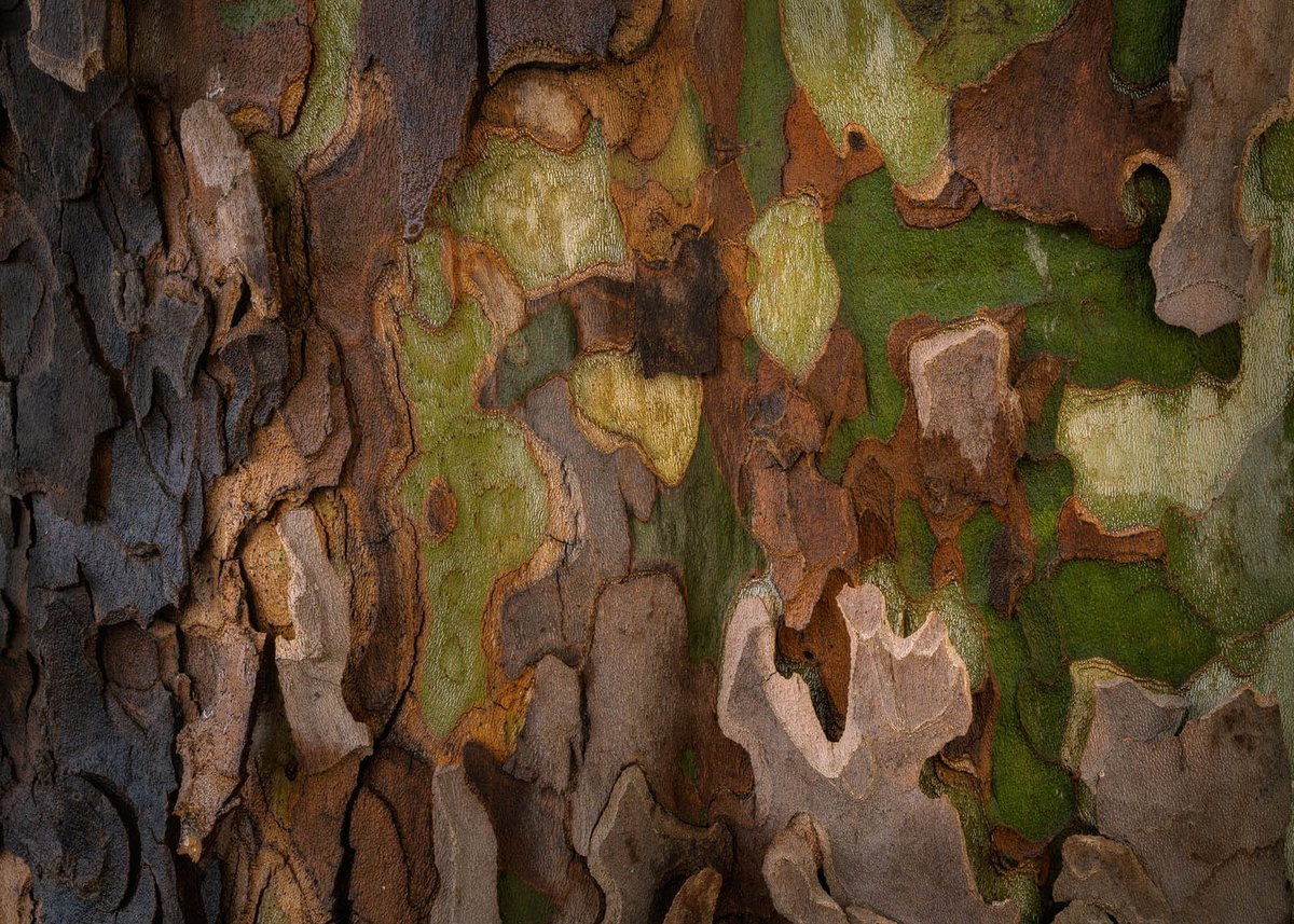 New photography podcast is up with <a href="/freestone_jeff/">Jeff Freestone</a> - Jeff is one of my favorite photographers from Australia and we had a great chat about his journey. Jeff has been heavily influenced by <a href="/TheMinimalists/">The Minimalists</a> and has changed his whole life because of it. 1/2