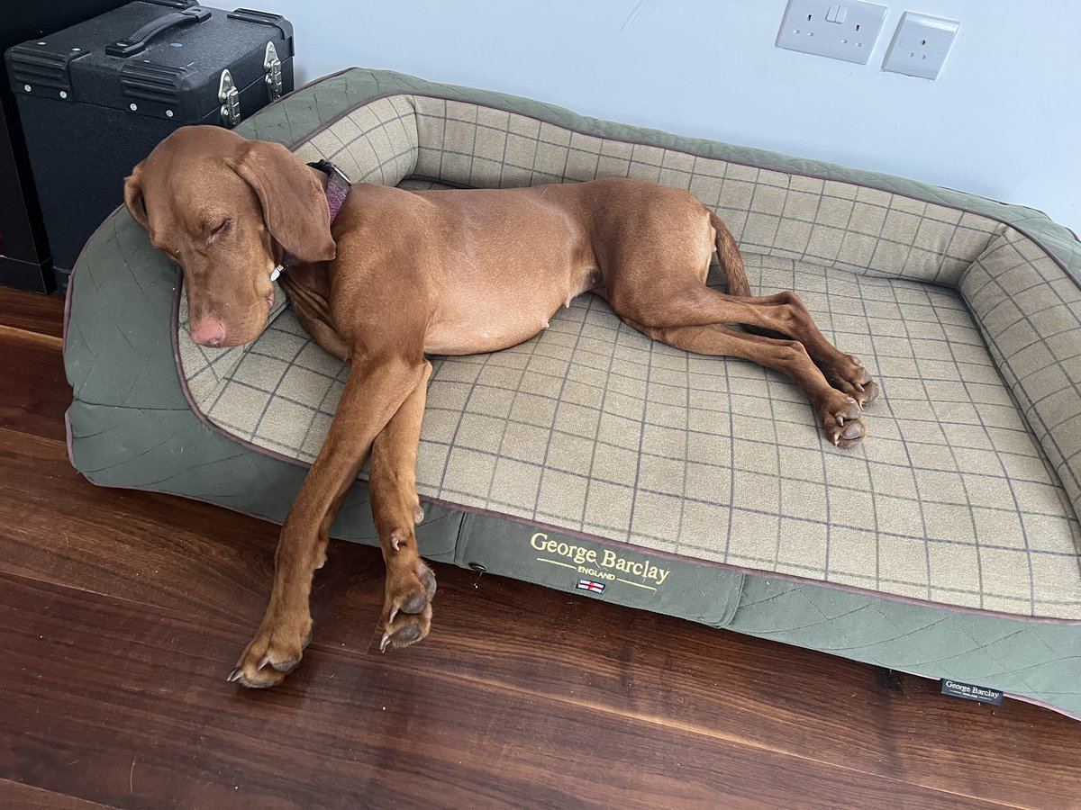 mark ashfield tweet media