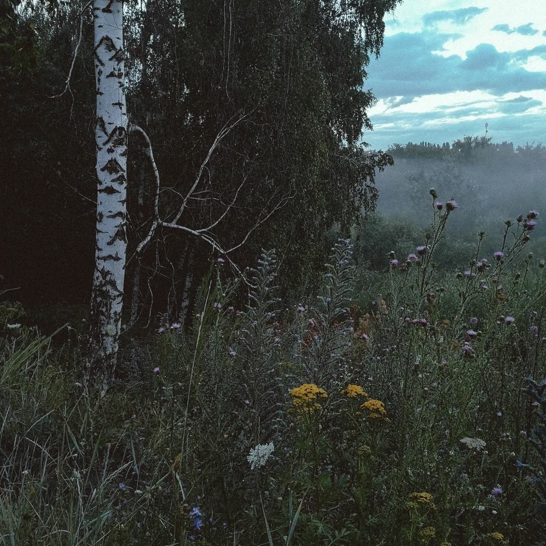 ᅟ
Não consegui deixar de compartilhar essas fotos que tirei hoje mais cedo quando fui nadar um pouco no lago da floresta. Esse tipo de clima é, sem sombra de dúvidas, o meu favorito. Me entrega nostalgia, tranquilidade, uma montanha de sensações agradáveis.
ᅟ