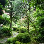 ツイートに含まれる画像