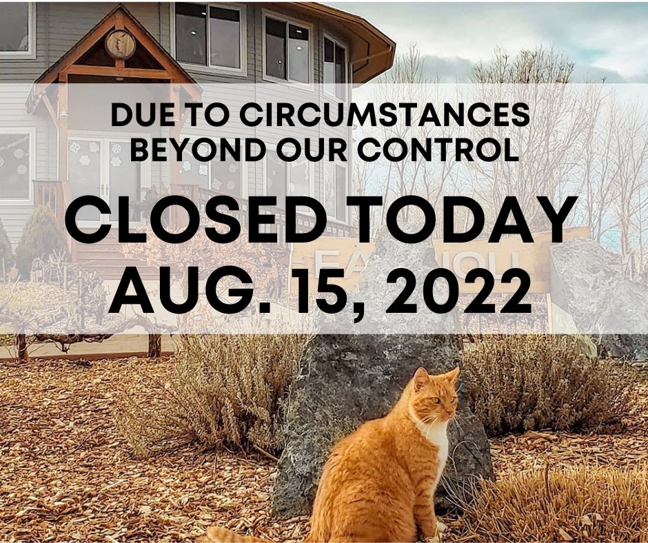 FabbioliWines's tweet photo. Due to Circumstances beyond our control, we are Closed today Monday, August 15, 2022. We can't wait to see you Thursday, August 18, 2022 https://t.co/wNG81UYhvc