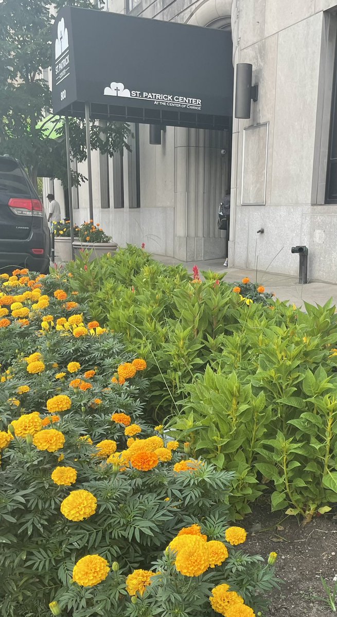 Basia Skudrzyk (@basiaskudrzyk) on Twitter photo The BEST (Building Employment Skills for Tomorrow) crew’s hard work is greatly appreciated at <a href="/stpatrickcenter/">St. Patrick Center</a> Beautiful flowers are blossoming! It starts with planting a seed & taking care of it. ☀️☘️
#employment #outcomes #development #growth #training #building #blossoming The BEST (Building Employment Skills for Tomorrow) crew’s hard work is greatly appreciated at <a href="/stpatrickcenter/">St. Patrick Center</a> Beautiful flowers are blossoming! It starts with planting a seed & taking care of it. ☀️☘️
#employment #outcomes #development #growth #training #building #blossoming