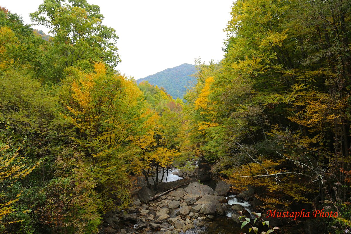 prestigedrive1's tweet photo. @thepennyhoarder #Hiking  #Photography  #Camping #Outdoors are free!! https://t.co/fvlfwhMFGt
