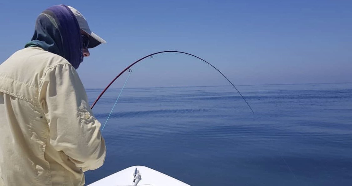 trip_dubai's tweet photo. Fishing🎣Trip in Dubai📍
𝗖𝗮𝗹𝗹 &amp; 𝗴𝗲𝘁 𝘆𝗼𝘂𝗿 𝗼𝗳𝗳𝗲𝗿
☎️+971563729777
https://t.co/k6qZq9QdLn 
fishing trip in dubai-fishing trips in dubai-fishing boat dubai-fishing boats dubai-dubai fishing trips-deep sea fishing dubai-boat rental dubai-yacht fishing-yachts fishing https://t.co/anqQ4cfNWI