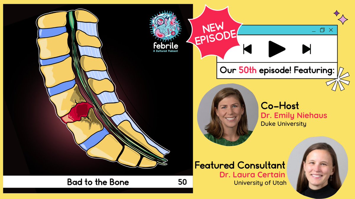 Febrile (@febrilepodcast) on Twitter photo 🔥☠️Check out our 50th episode out now: Bad to the Bone!
🦴<a href="/EmilyNiehaus4/">Emily Niehaus</a> & <a href="/laura_certain/">Laura Certain, MD, PhD</a> take on the challenging topic of vertebral osteomyelitis +/- hardware!
👂Subscribe anywhere🎙️are found febrilepodcast.captivate.fm/listen
#IDTwitter #IDMedEd #OrthoID 🔥☠️Check out our 50th episode out now: Bad to the Bone!
🦴<a href="/EmilyNiehaus4/">Emily Niehaus</a> & <a href="/laura_certain/">Laura Certain, MD, PhD</a> take on the challenging topic of vertebral osteomyelitis +/- hardware!
👂Subscribe anywhere🎙️are found febrilepodcast.captivate.fm/listen
#IDTwitter #IDMedEd #OrthoID