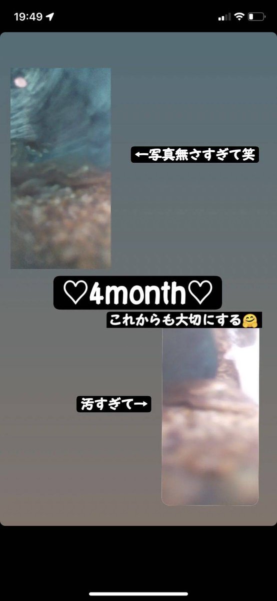 nikomi__253's tweet photo. 《画像1枚目》
ストーリーをインスタで出した訳さ
皆に彼氏いたのか誰だ！て言われたの笑

《画像2枚目》
姉にも言われて、家でヤモリ飼ってるじゃん？
ヤモリが家に来て4ヶ月経ったの
て言ったら「紛らわしい」って言われた😜

匂わせしたくなるよね～笑

#匂わせ風 #ヤモリ #ペット #4month #会話 https://t.co/WdCGAxLI9N