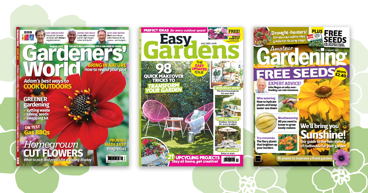 stocktonlibrary's tweet photo. 🍄 Feel garden good! 🍂
From local to global, access your favourite newspapers and magazines for FREE with your #Stocktonlibrary card. Go to https://t.co/m6J1ki3tmX for all the information you need about @PressReader and our other online services https://t.co/edSZ3gO2Hp