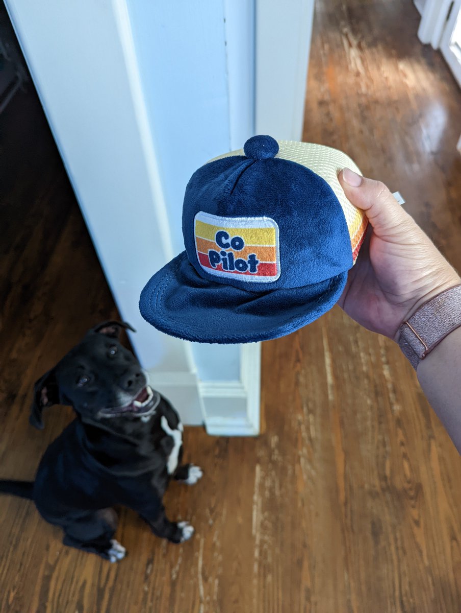 🐶Cora got a <a href="/BeardedBeerTime/">BeardedBeerTime</a>-style @CoPilot_Violet-inspired trucker hat 🧢 in her <a href="/barkbox/">BarkBox</a>, and LOVES IT! Or what is left of it, at least... 
#barkbox #dogs  #twitch  #streamers