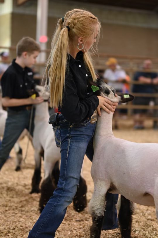 wcsFvHSwh's tweet photo. Fairview students crushed it this year at the Fair. Congrats to FFA Sentinel Jayden Gossett! Champion in sheep showmanship! https://t.co/IzYlg0FfOv