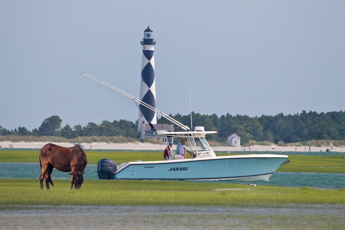 Crystal Coast tweet media