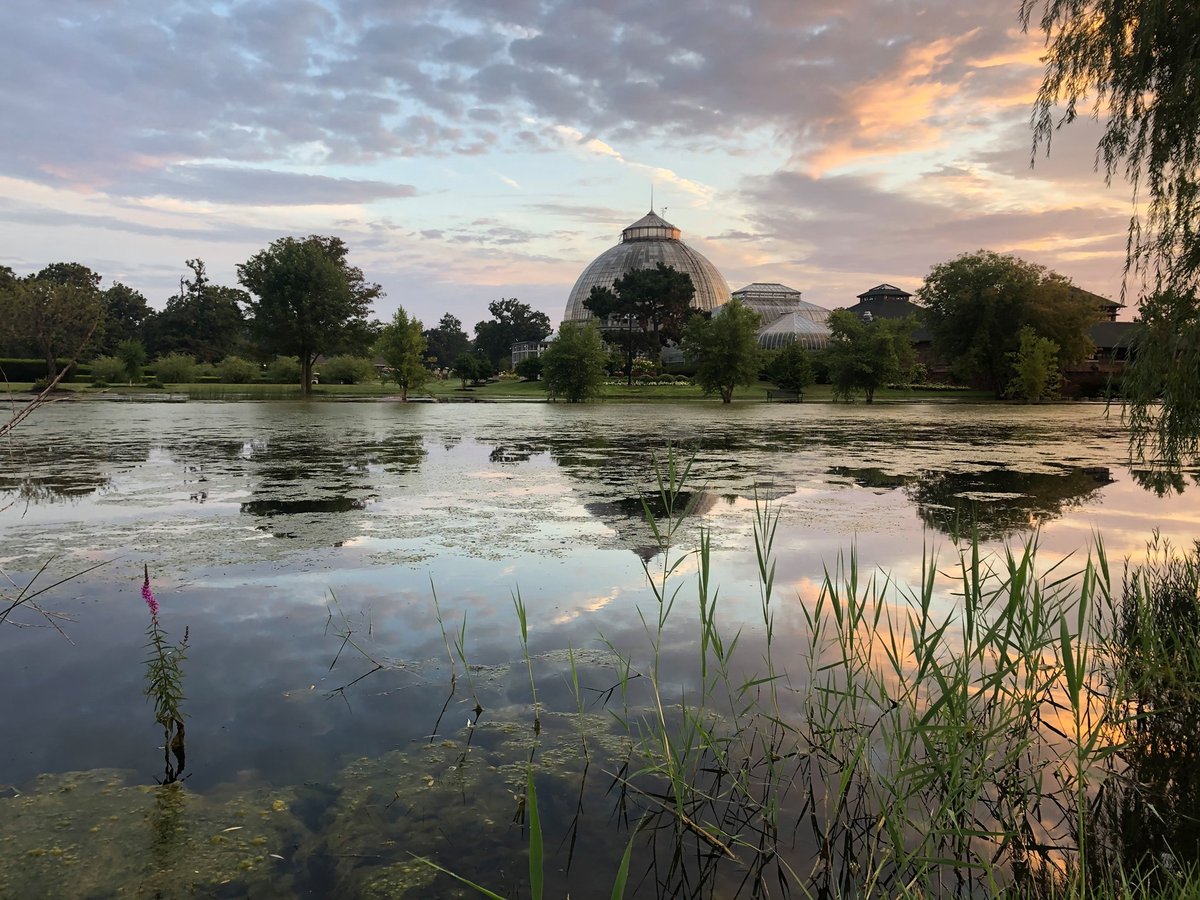 Keep up to date with the Belle Isle Park Advisory Committee!  There will be a virtual meeting this THURSDAY Aug. 18.  To learn more visit their website at michigan.gov/dnr/about/boar….