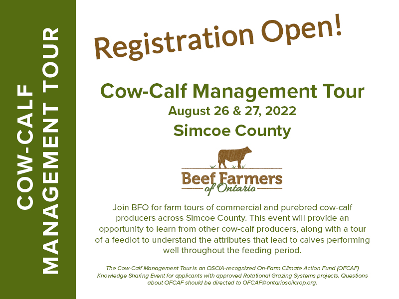 Less than a week left to register for the #CowCalfManagementTour! Hear from and see a variety of purebred and commercial cow-calf producers in beautiful Simcoe county! A great way to wrap up the month of August. Learn more and register here: ontariobeef.com/communications…