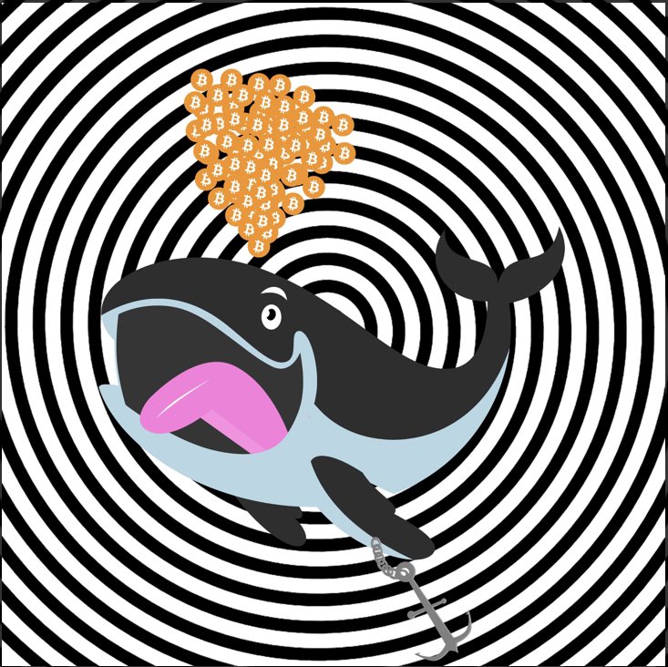louminati5 (@louminati5) on Twitter photo With a current floor price of ~ .02 eth, holding one <a href="/unusual_whales/">unusual_whales</a> NFT opens the door to a broad suite of tools to help retail level the playing field. With a current floor price of ~ .02 eth, holding one <a href="/unusual_whales/">unusual_whales</a> NFT opens the door to a broad suite of tools to help retail level the playing field.