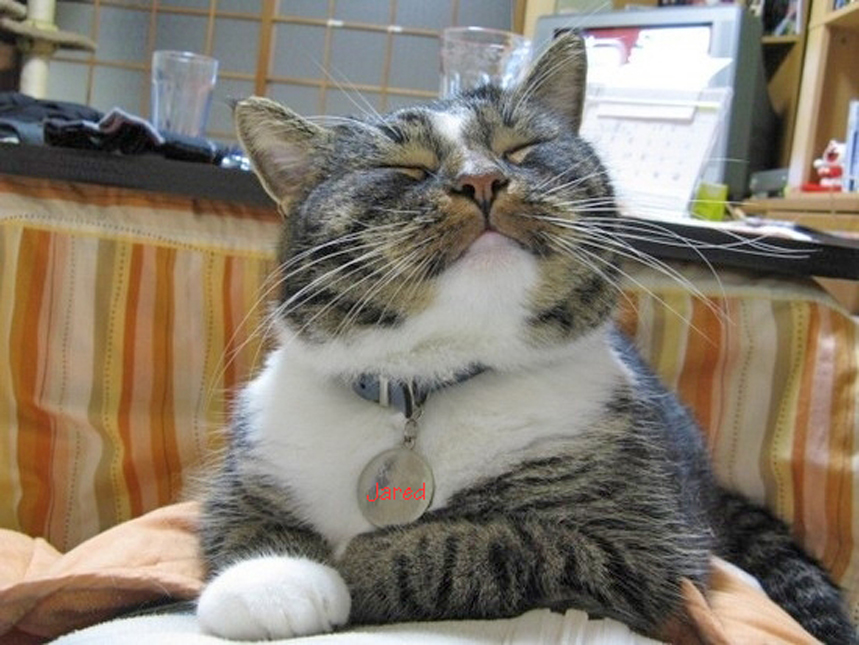 LorenzoTheCat's tweet photo. Jared the Smug. https://t.co/n4nVjbCZhU