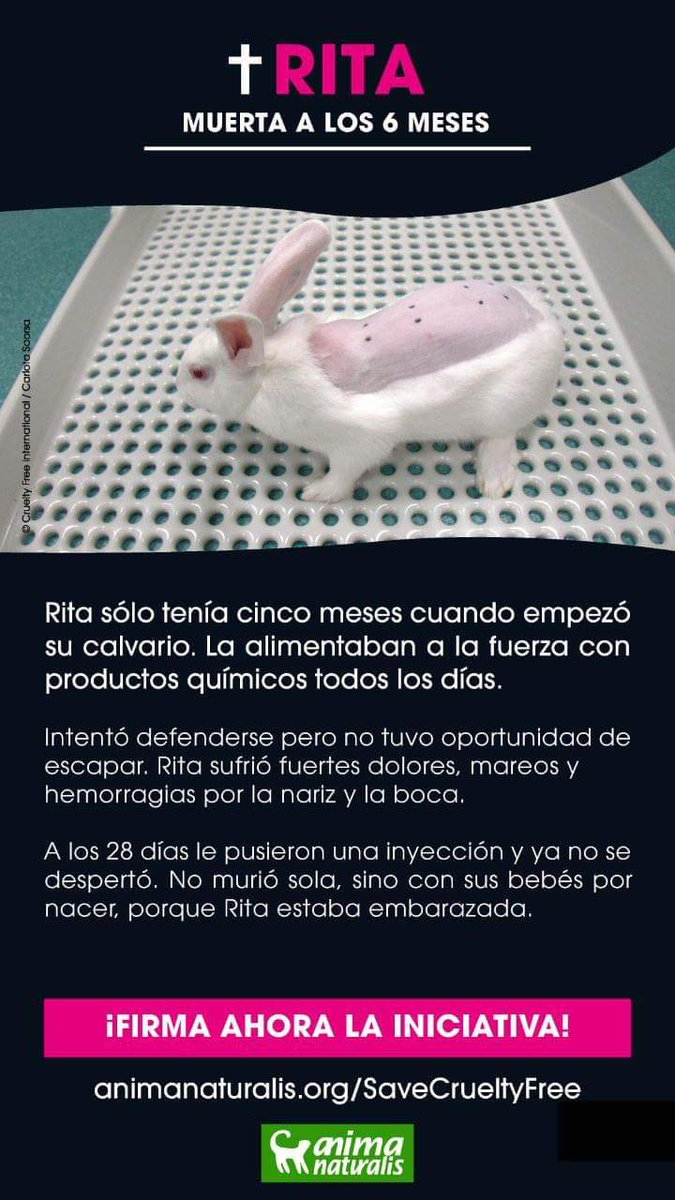 plataforma_NAC's tweet photo. 💔¡URGENTE! @AnimaNaturalis nos piden nuestra firma antes del 31 de agosto de 2022.
¡SOLO QUEDAN 3 SEMANAS!

🇪🇺Si eres ciudadana/o de la UE FIRMA YA
✍️https://t.co/I0BHZvEYGg

¡No más historias como las de Rita! Pongamos fin a las pruebas en animales.
💗 #SaveCrueltyFreeCosmetics https://t.co/kYMqGGhhlw