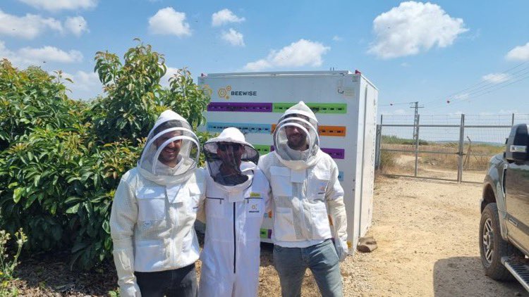 BeewiseT's tweet photo. Proudly showing our investors the #BeeHome! #startup #beekeeping #innovation https://t.co/C8RJKKnG5v