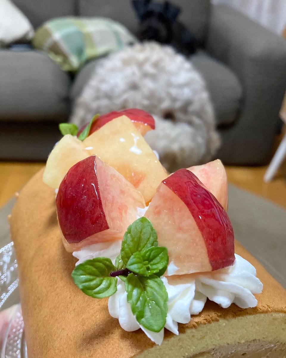 OkashiInu's tweet photo. 犬 犬 桃ロール https://t.co/FruTtXGlrL