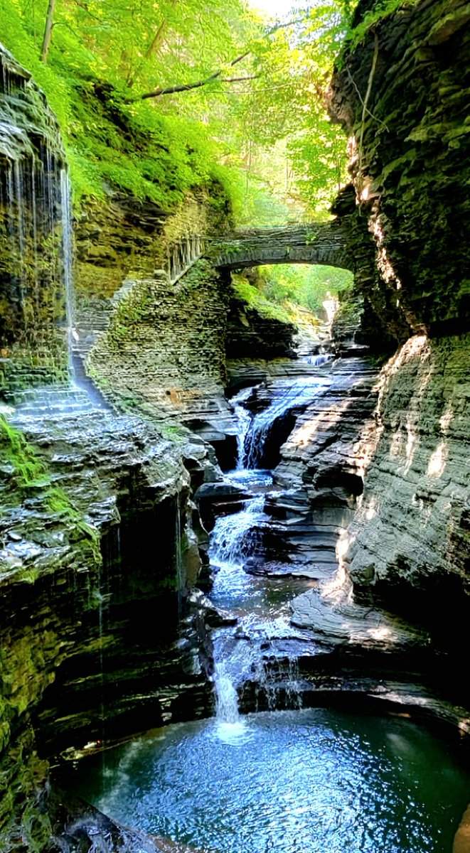 Elekat9557's tweet photo. 8/13/22 Watkins Glen State Park
#newyorkstateparks #naturelover #NatureBeauty https://t.co/0nyERMKY2f