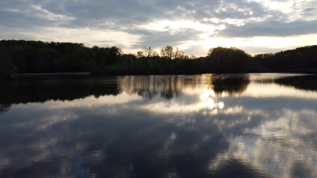 villedieulake's tweet photo. Carp are more active at night! This is because carp feed more aggressively in the dark! Other times Carp are more active is Dawn and Dusk #villedieulake #fishinginfrance #fishoftheweek #carpfishing #lakelifebestlife #karpfen #mirrorcarp #commoncarp #carpangler #carp #magnacbourg https://t.co/OsGP0Tlugg