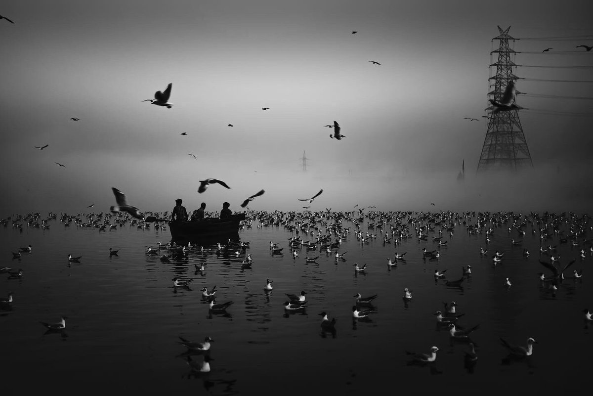 arunnalimela's tweet photo. Yamuna Ghat is my genesis collection on Sloika, with an edition of 1/1 of 10 Images. 

The ghat is a spectacular site where hundreds of seagulls gather to feed at dawn. A breathtaking scene is created with the seagulls &amp; boat drive. 

Price: 0.1 ETH
Link: https://t.co/Dqdf8EvjkN https://t.co/pMvRRnsgl4