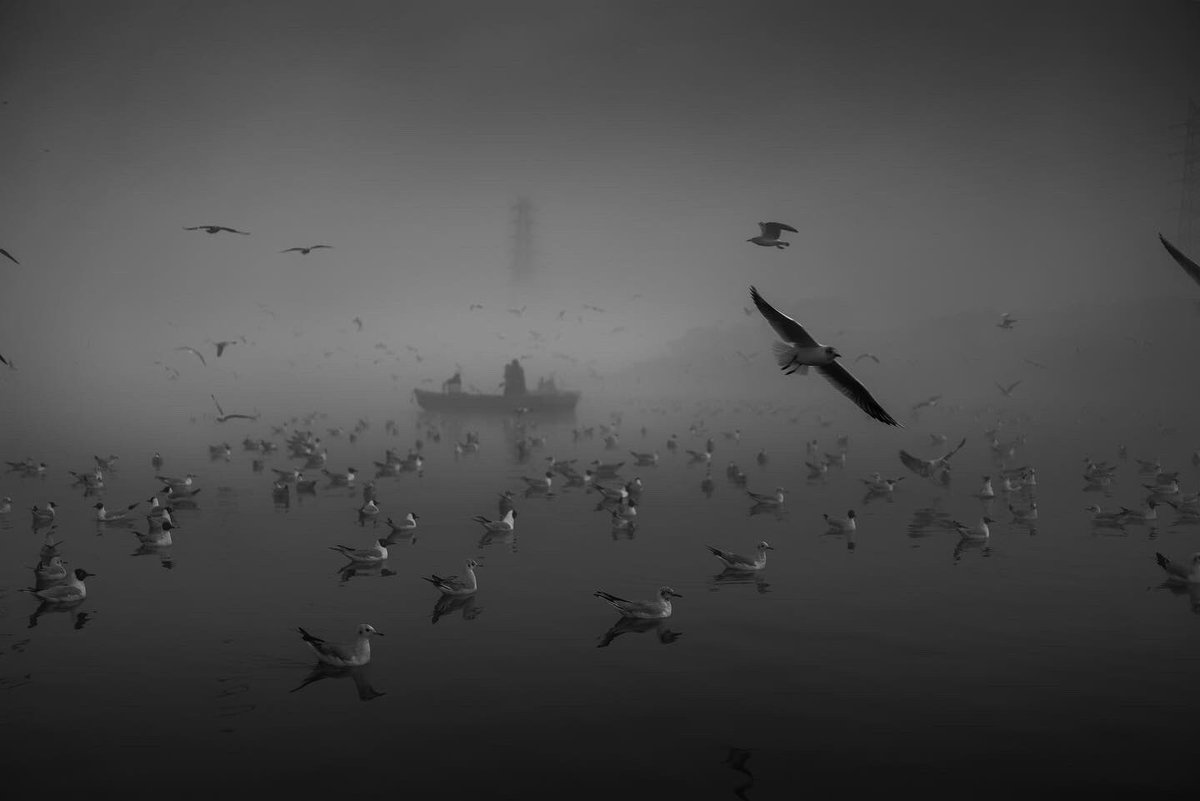 arunnalimela's tweet photo. Yamuna Ghat is my genesis collection on Sloika, with an edition of 1/1 of 10 Images. 

The ghat is a spectacular site where hundreds of seagulls gather to feed at dawn. A breathtaking scene is created with the seagulls &amp; boat drive. 

Price: 0.1 ETH
Link: https://t.co/Dqdf8EvjkN https://t.co/pMvRRnsgl4