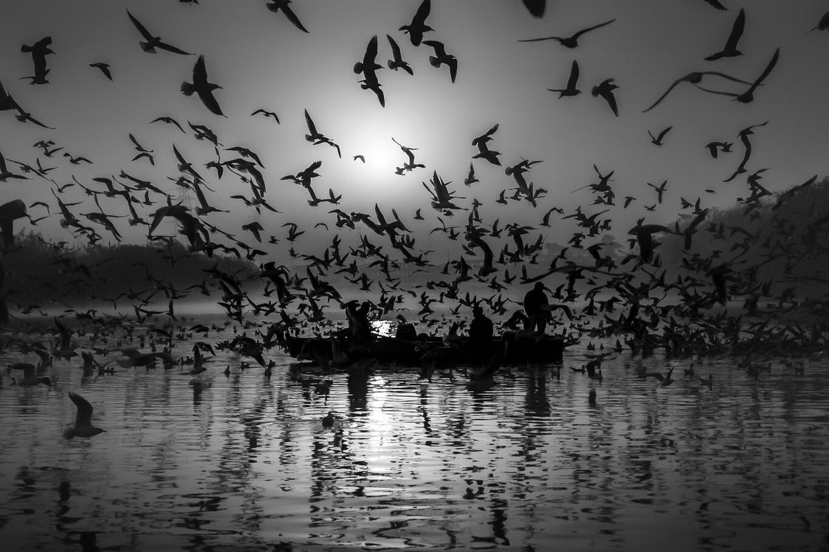 arunnalimela's tweet photo. Yamuna Ghat is my genesis collection on Sloika, with an edition of 1/1 of 10 Images. 

The ghat is a spectacular site where hundreds of seagulls gather to feed at dawn. A breathtaking scene is created with the seagulls &amp; boat drive. 

Price: 0.1 ETH
Link: https://t.co/Dqdf8EvjkN https://t.co/pMvRRnsgl4