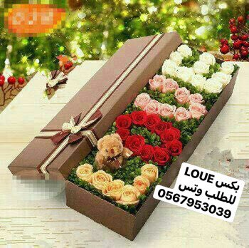 yo0567953039's tweet photo. @gorgeous4ew ويش ريكم بهديه زي ذي https://t.co/2VagkDiQxL