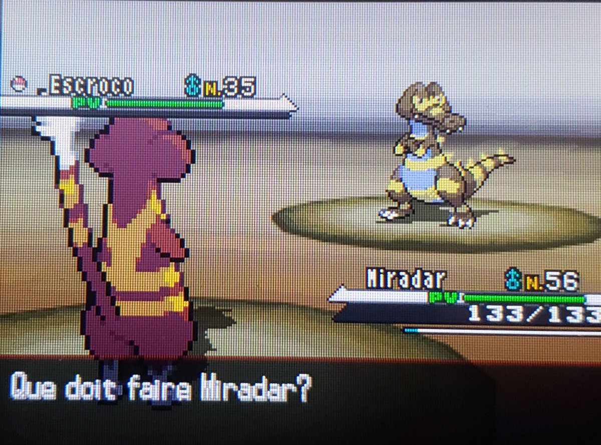 Shiny Krokorok #4 after 5082 encounters!! at least I got half of the four kroks underodds 🐊🐊🐊🐊✨