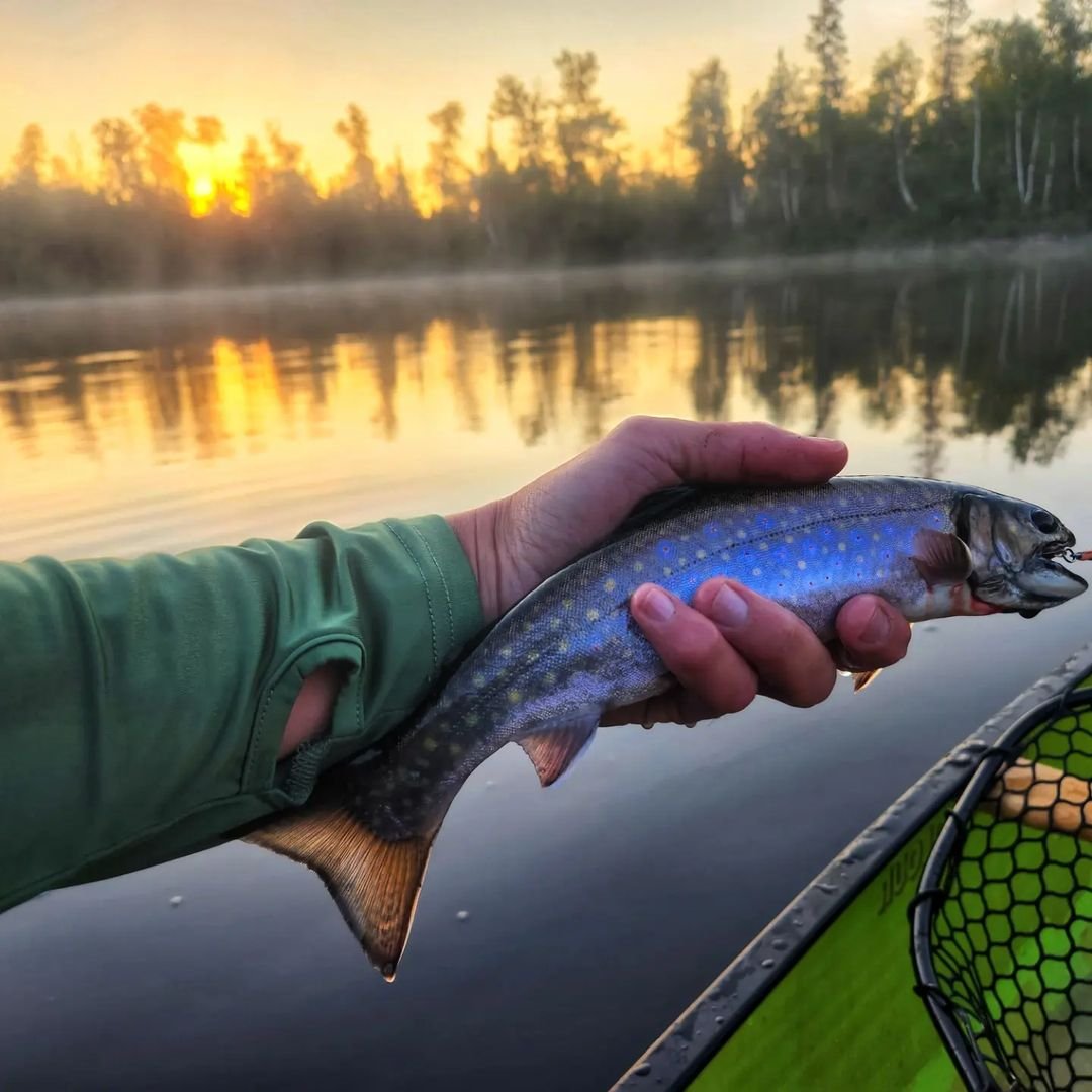 BBpaddles's tweet photo. calm foggy mornings on the water

📸: Jonathan Laxen

#YesBendingBranches #boundarywaters #bwca #visitMN #superiornationalforest #elymn #canoe #paddle #fishing https://t.co/SWUVNQi3c5