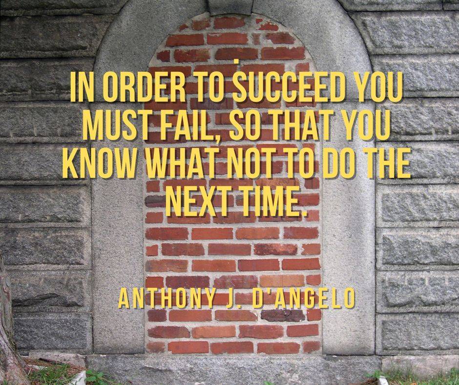 Success is learning what not to do.