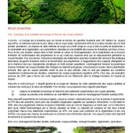 Photo by Institut de recherche sur les forêts (@IRFUQAT)