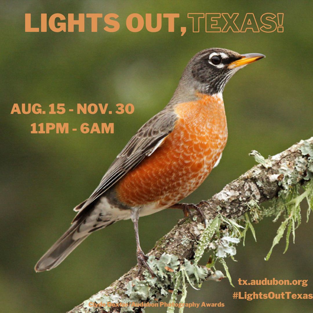 FLAlliance_EP's tweet photo. CALLING ALL TEXANS -Help protect migrating birds this fall by going #LightsOutTexas! Turn off all non-essential lights from 11 pm–6 am every night through June 15, especially during peak migration Sept. 5–Oct. 29! Learn more: https://t.co/TirsHEjIdE
#AudubonTexas #Bringbirdsback https://t.co/8oQIEGvFbT