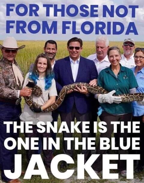 churley7111's tweet photo. @JDawsonTweets @thehill #DeMonster has been gaslighting Floridians about CRT that has NEVER existed in any public schools. It’s only been taught in law schools.
This is about gaining votes with our large Military base in Florida @votevets @VetsAgnstTrump @CharlieCrist @RepValDemings
#VoteBlueNov 8th💙 https://t.co/gRZEMLvSdJ