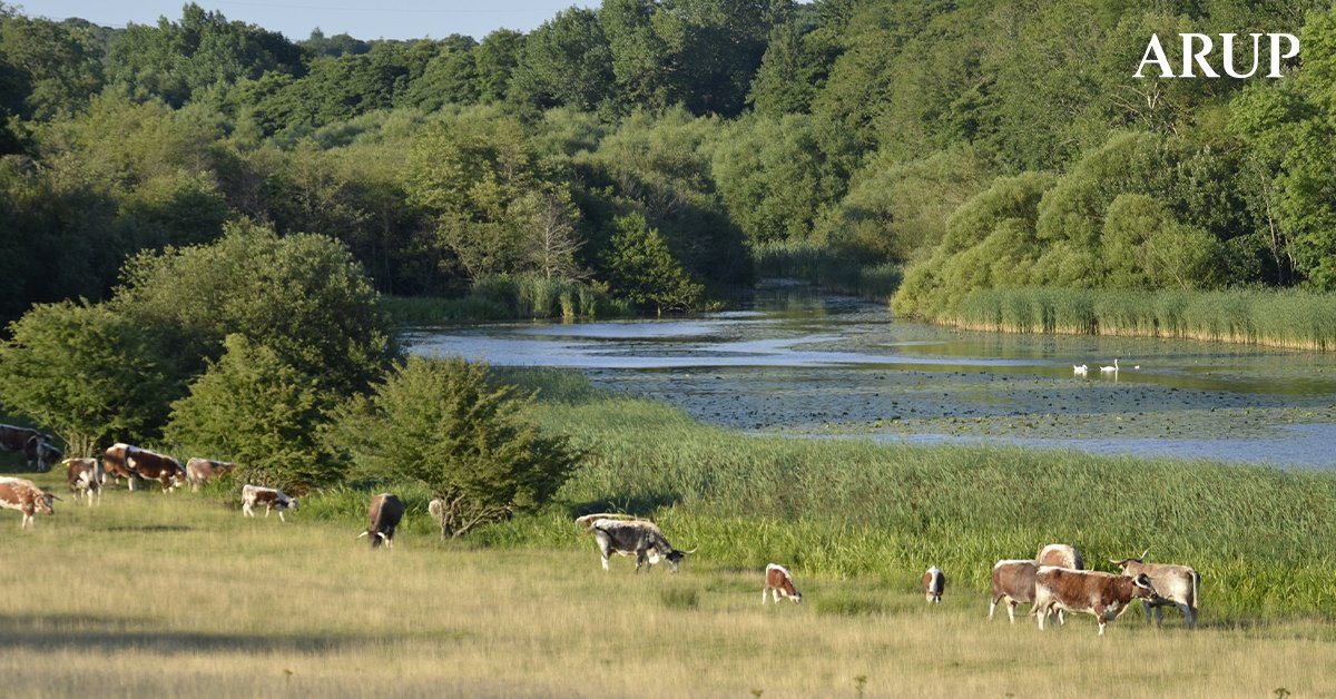 ArupUK's tweet photo. We are thrilled to be part of the team with @KneppWilding that was awarded @DefraGovUK funding to develop a new carbon measurement tool for land managers to create confidence in carbon accounting of rewilding and nature recovery projects. 

Learn more: https://t.co/uBaunsHi2q https://t.co/qoWCKs8Cst