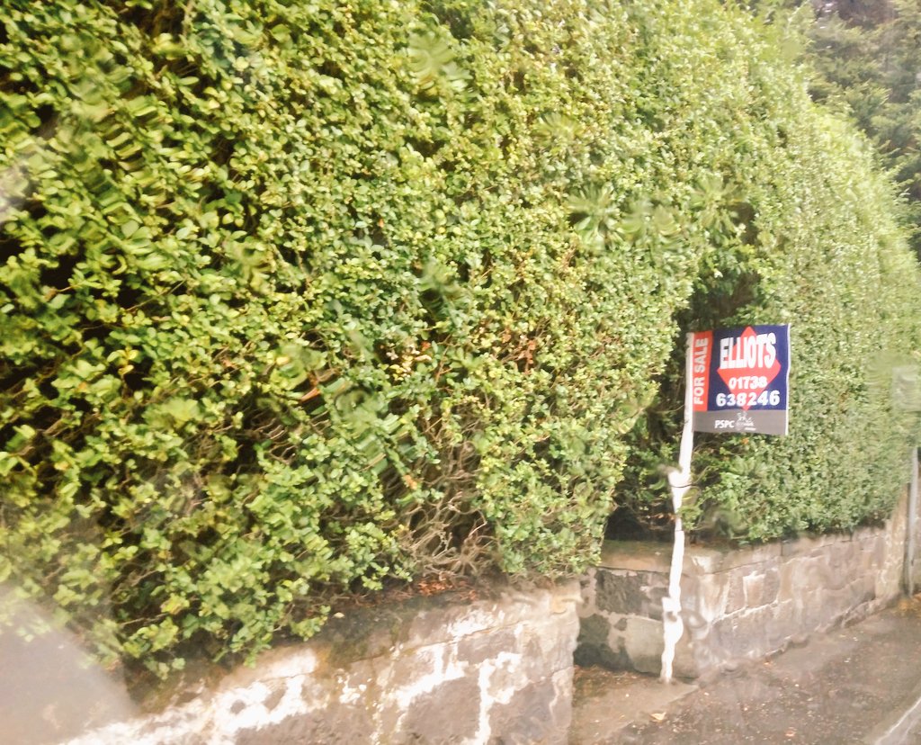 C_M_A_Elliot's tweet photo. 🌟🌟🏡🔑Visiting a special property #ForSale in #Leslie #Fife. For a glimpse at what is hidden behind the impressive hedge visit our website or the @espc website! 🔑🏡🌟🌟 https://t.co/TlRpKL4l1Q