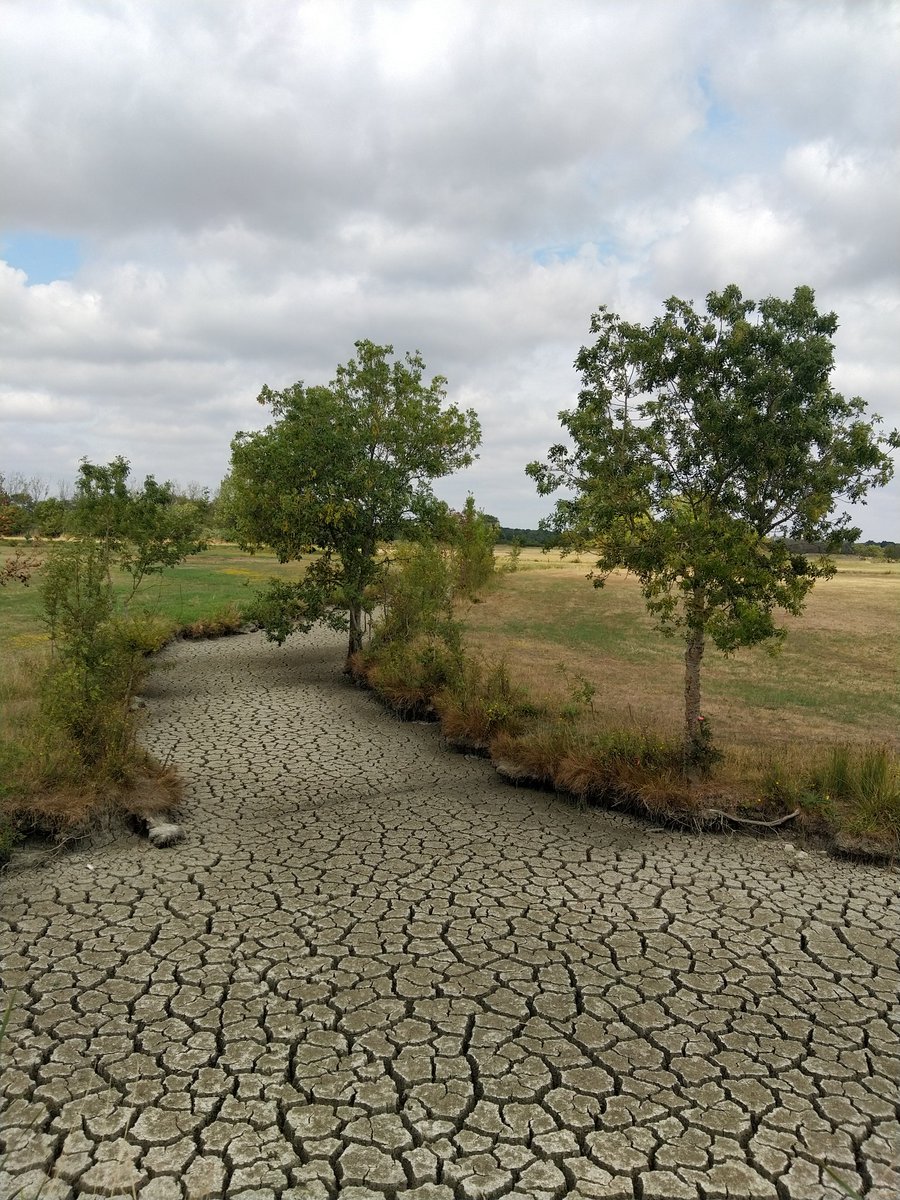 Christo324085's tweet photo. Le #marais de #Sallertaine version sec #geometrix
#Secheresse2022 https://t.co/PE2q4FvE1S