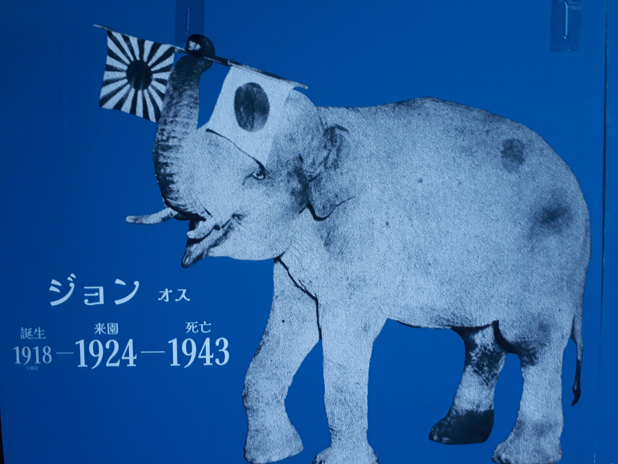 ごせち Menyanthes1477 Twitter