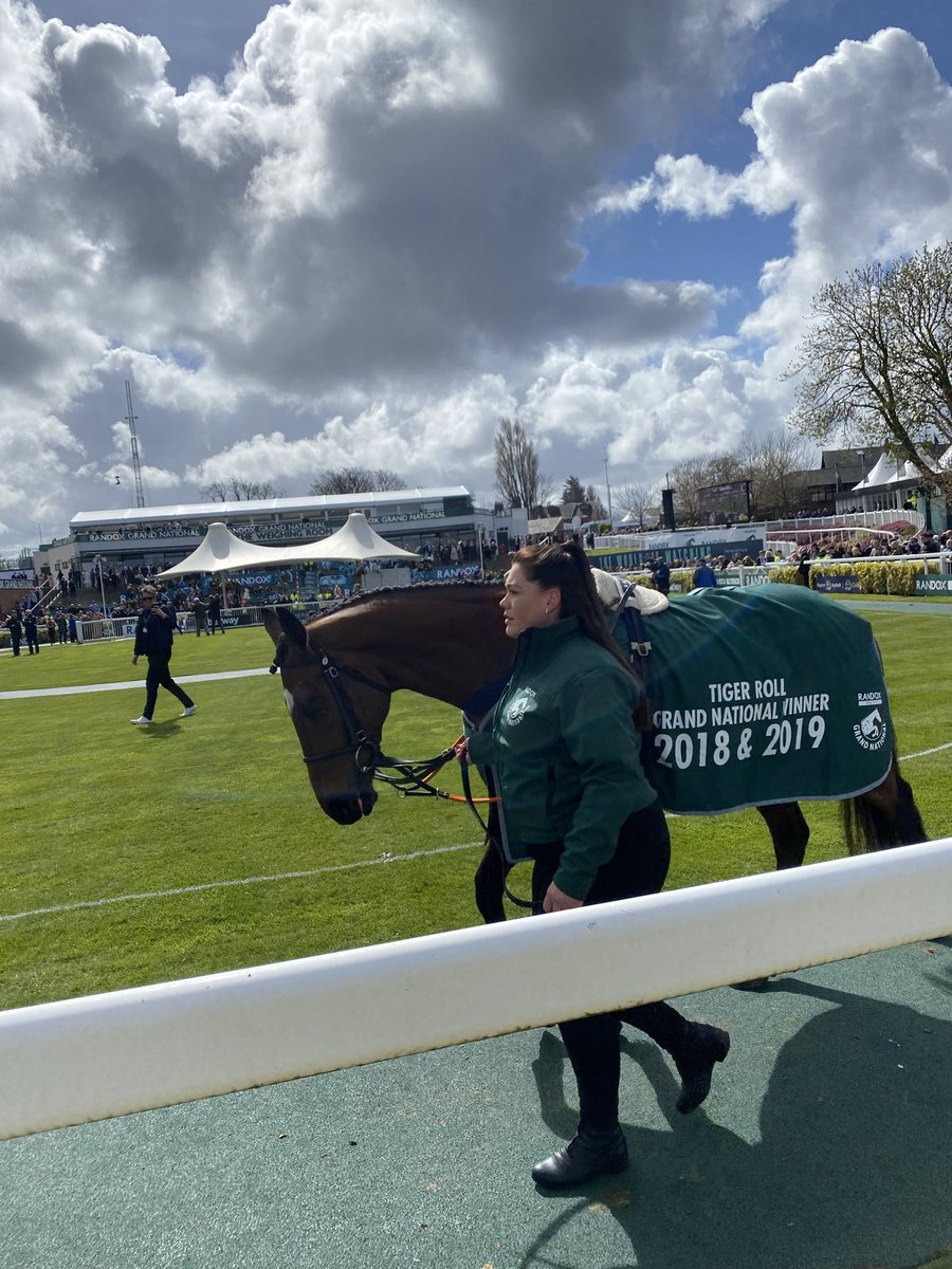 wishy1234's tweet photo. @TheJockeyClub https://t.co/NiYVueBC2B