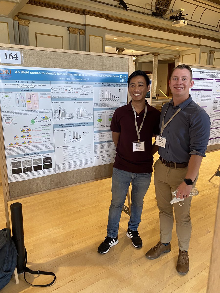 Matthew Wirick tweet media