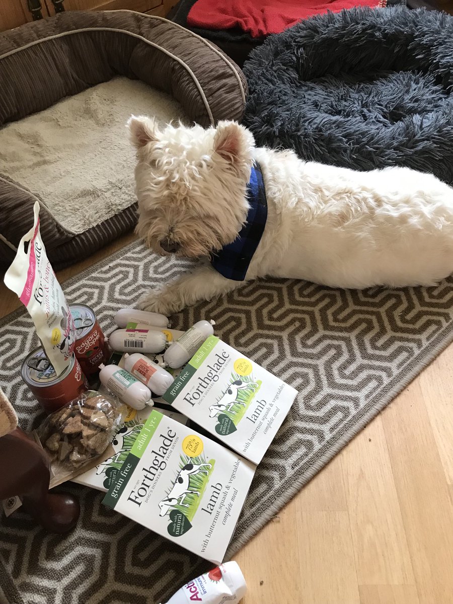 Julia Brett and Teddy tweet media