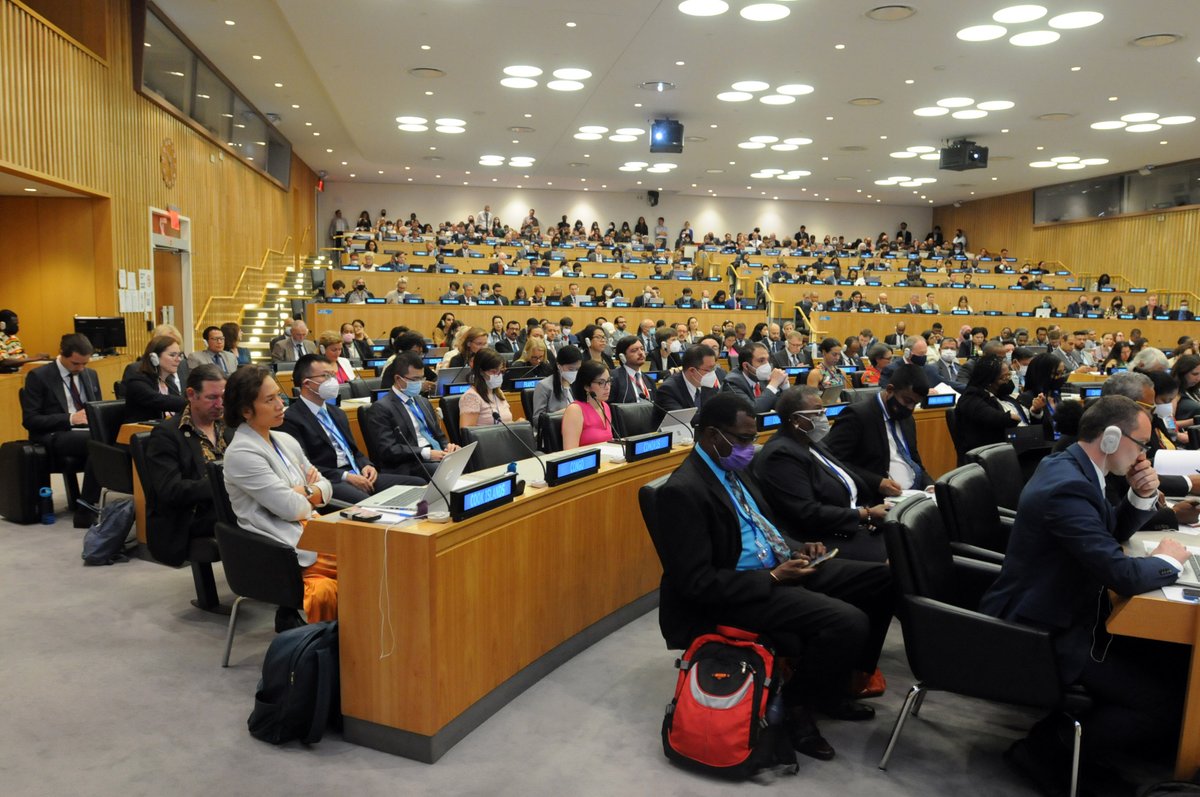 #IGC5 starts at the UN Headquarters in New York with optimism that a new #HighSeasTreaty on #BBNJ will be agreed at this meeting. #biodiversity