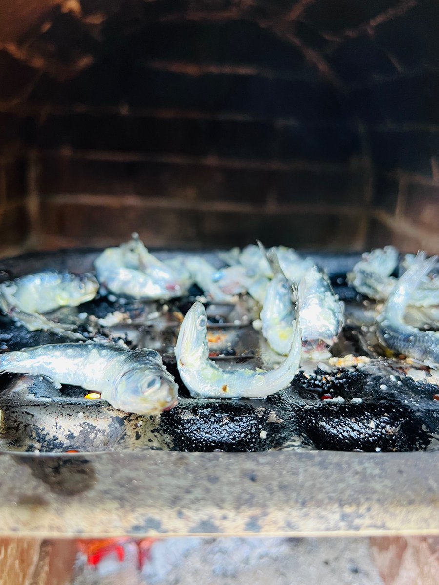 What do I do with 3lbs of fresh anchovies? Grilled - done. #PillarPointHarbor