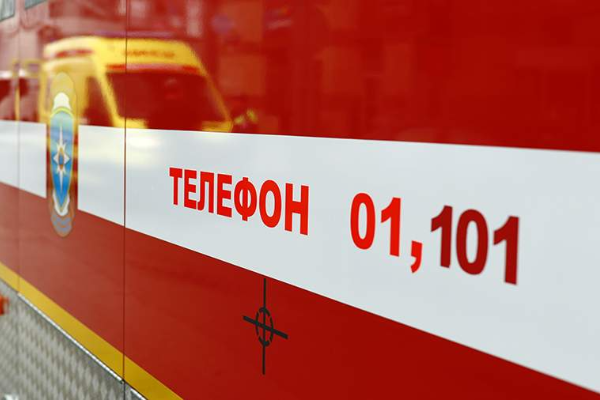 В Мичуринске сгорели автомобиль "Шевроле Нива" и мотоцикл "Хонда"

Пострадали два человека
onlinetambov.ru/news/incident/…