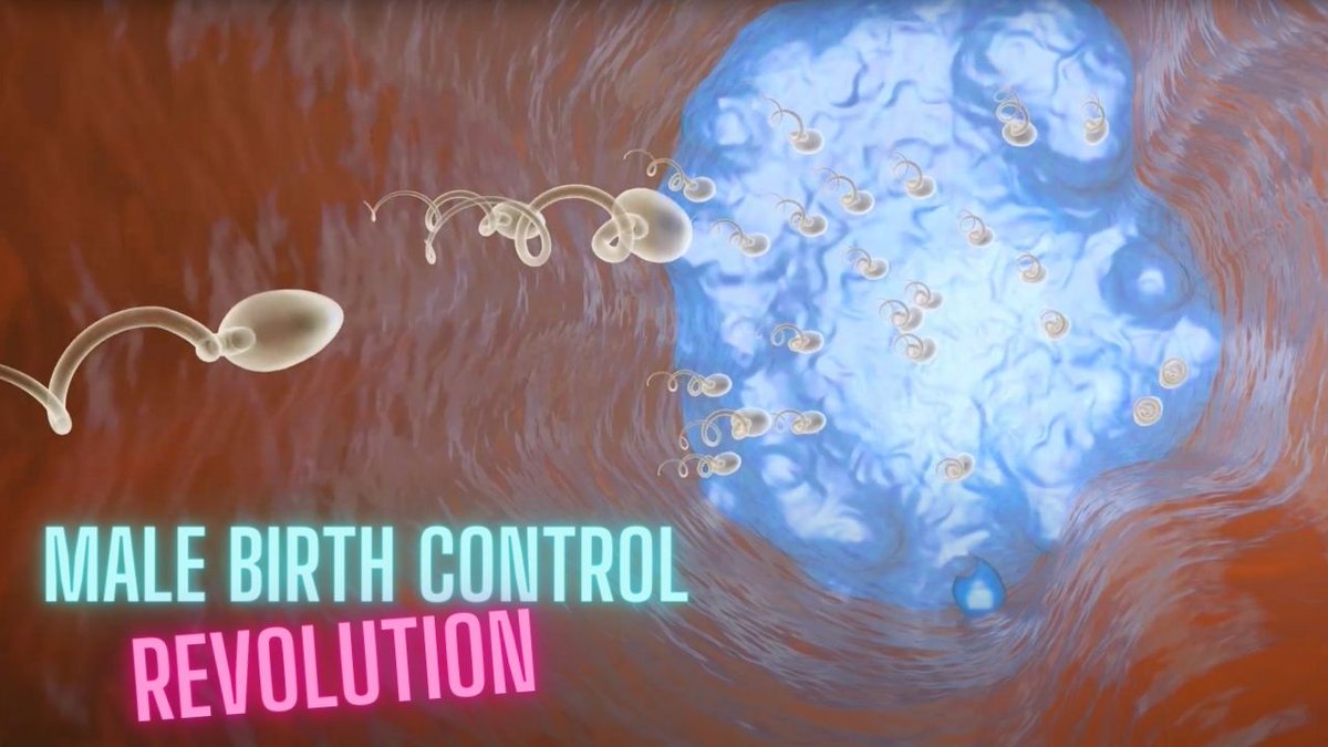 sgcarney's tweet photo. Today men don't have any good birth control options.  But what happens when every man could get a reversible #vasectomy and turn their fertility on and off with a simple 15-minute procedure?  

#Vasalgel is about to change the world

https://t.co/L7lTrBJJH9

#roevwade https://t.co/uD1gUweKVP
