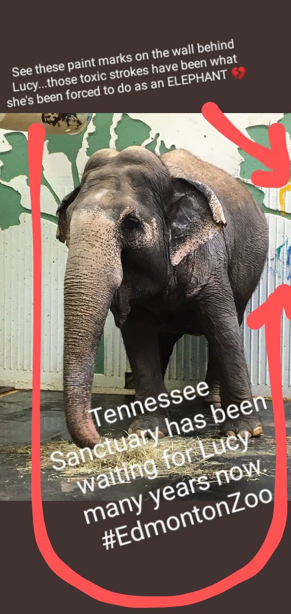 JulieKi53713414's tweet photo. ...and then when she's not on Di$play for Cu$tomer$, y'all PARK her 90-95% of her 'life' staring inside that 50ft Cement Echoing Dark PRI$ON CELL for more Cu$tomer$ to "interact" with her for $10,000 each Corporate Group or $250-$500 each for Families βοΈ #PureGreed πππ¨π¦π΅πππ https://t.co/wIKpLUmgKW